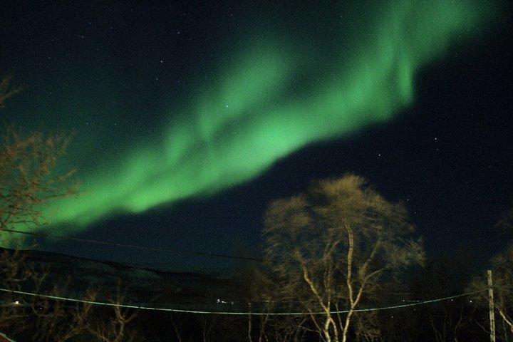 Ildtoppen Leirpollen Luaran gambar